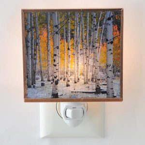 Aspen Grove Glow Night Light