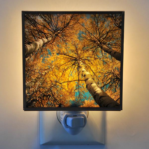 Aspen View Night Light