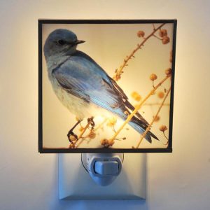 Bluebird Night Light