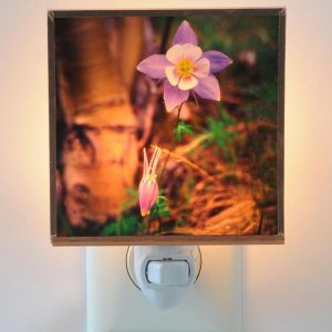 Columbine Night Light