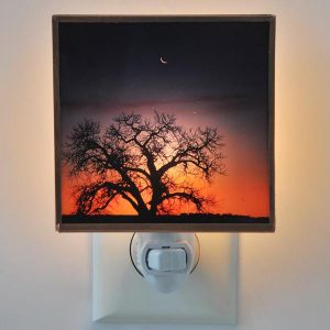 Crescent Phase Night Light
