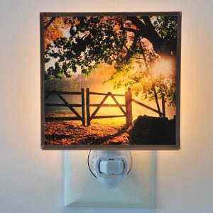 Ethereal Gates Night Light