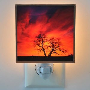 Natures Filter Night Light