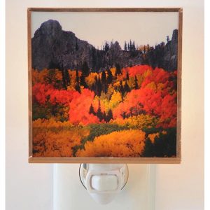 Red Aspen Night Light
