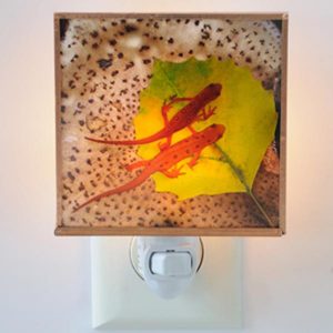 Red Eft Night Light